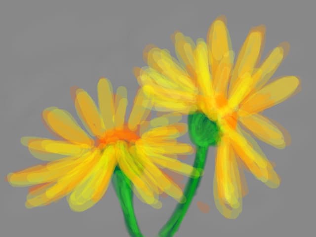 flori