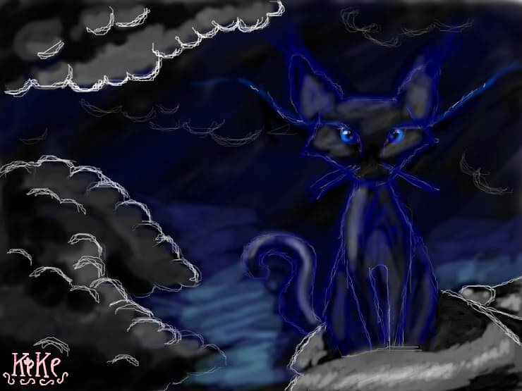 Thunder Cat