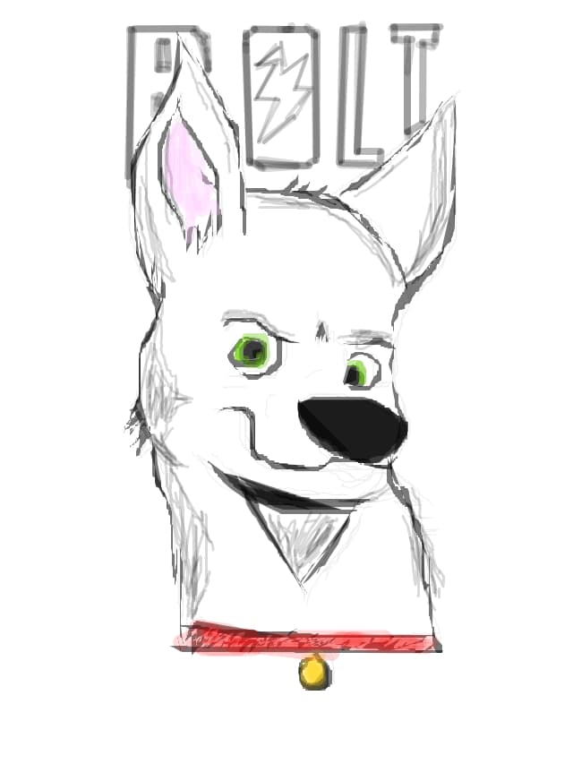 Bolt