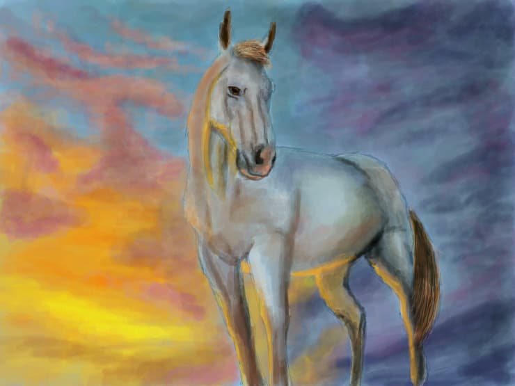 Horse
