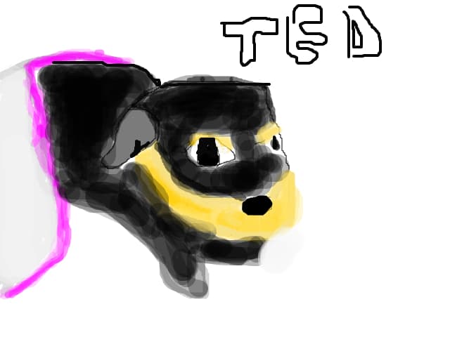 Ted ,asa il cheama