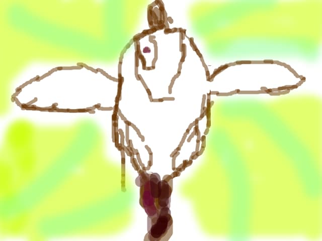nustiu
