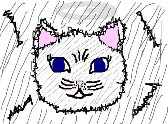 Michi