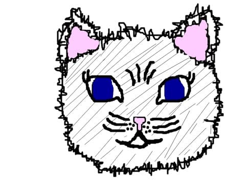 Michi