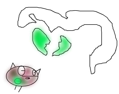 X_x