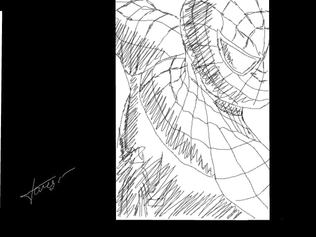 The amaziiiiing , spiderman