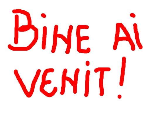 bineai venit