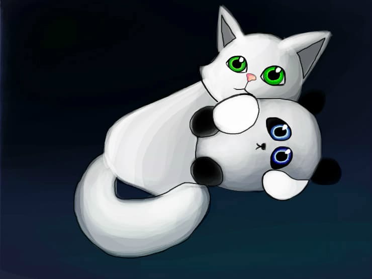Cat &amp; panda