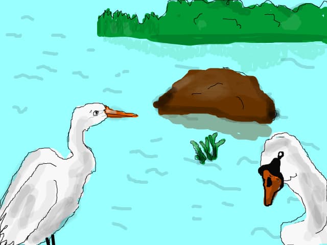 lacul pasarilor