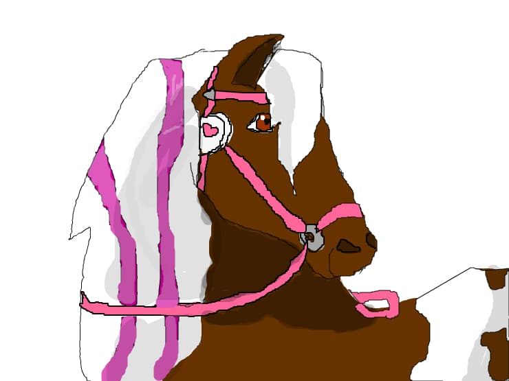 calypso
