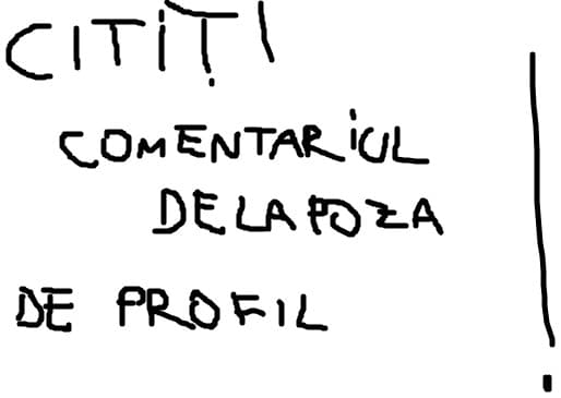CITITI COMENTARIUL DE LA PROFIL