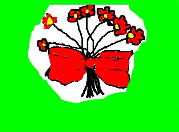 Flori