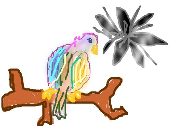un papagal colorat