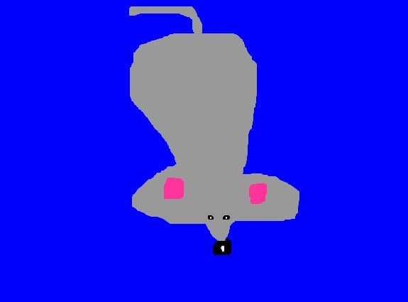 soricel