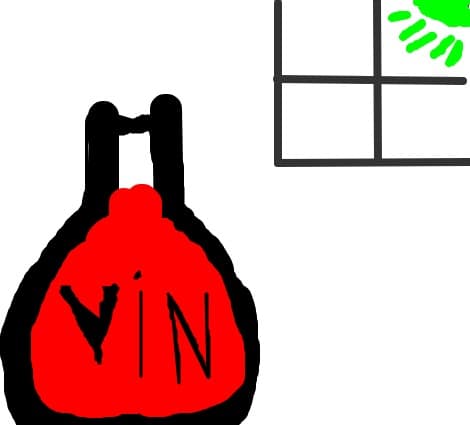 Vin