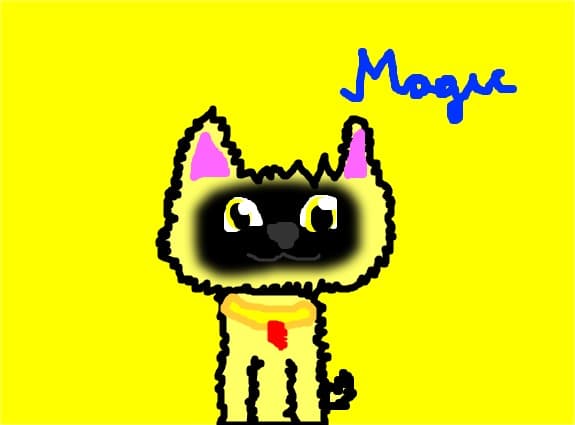 Magic
