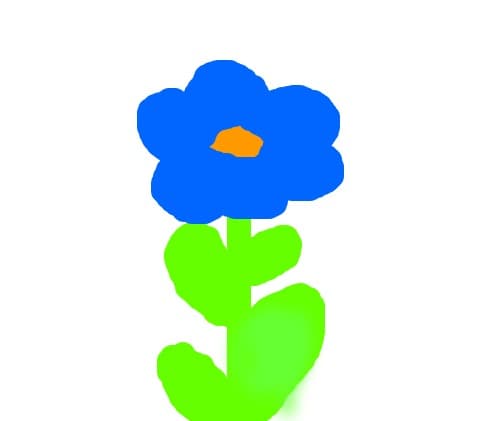 Floare