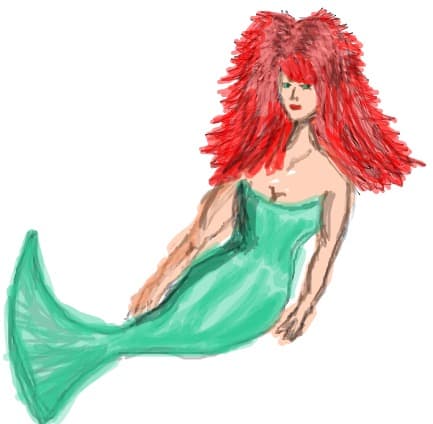 Desen 19116 modificat:ariel
