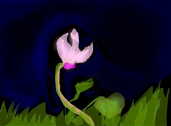 o floricica