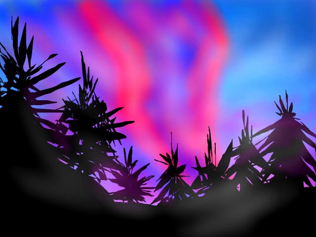 aurora bereala...
