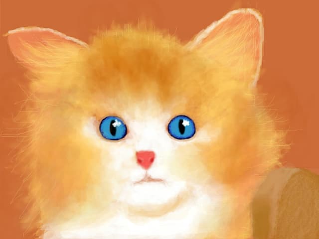 Pisic