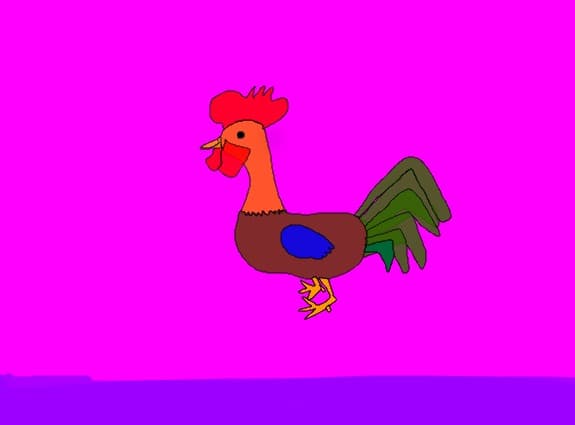 Cocos