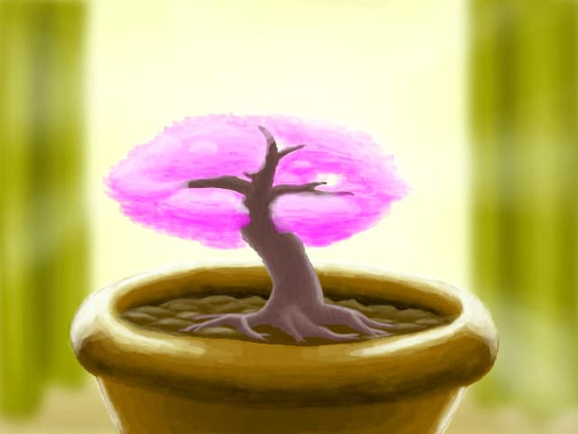 Cires bonsai inflorit ca sa va aduca primavara mai aproape