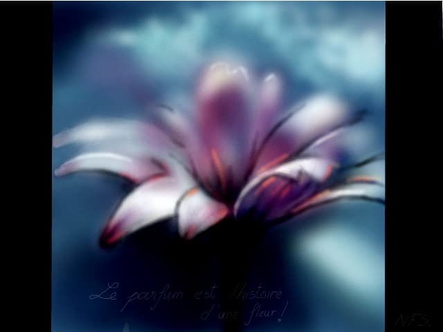 Une fleur