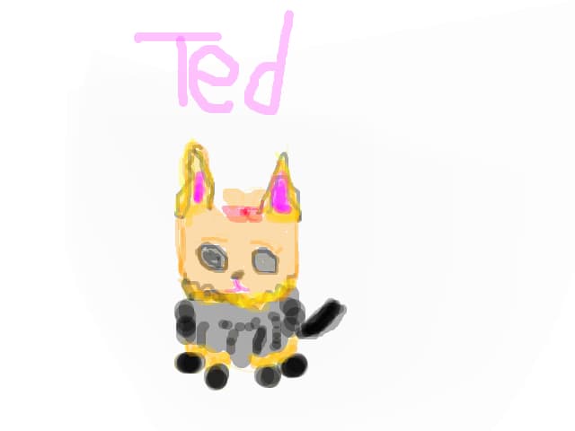 ted,catelusul bunicii