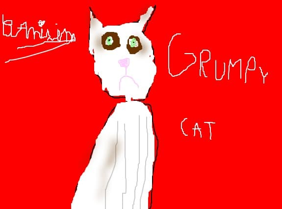 Grumpy Cat