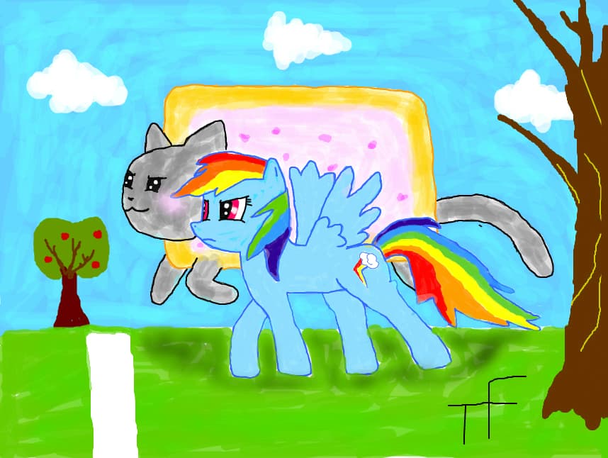 Who\'s gonna win??