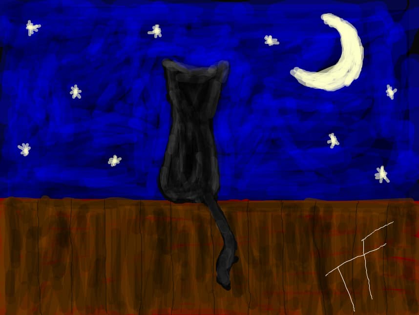 Stary night
