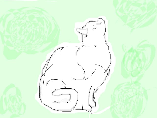 cat