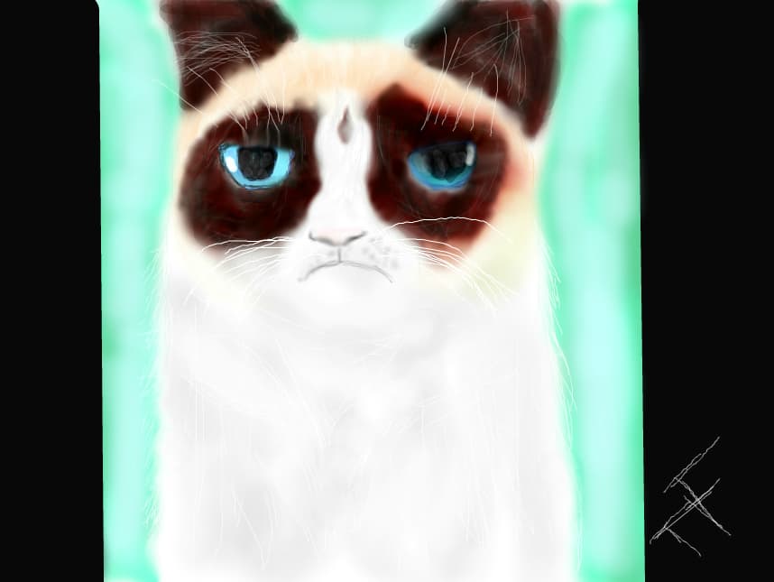 Grumpy Cat (mai am un desen cu Grumpy cat)