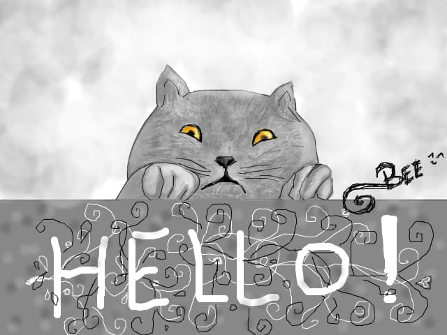 Stupid cat..
