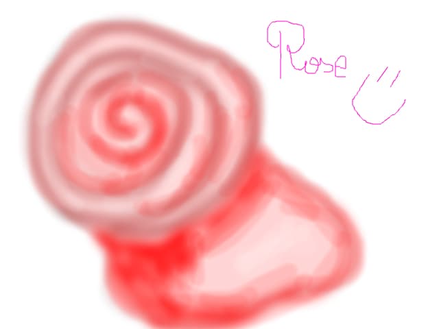 rose