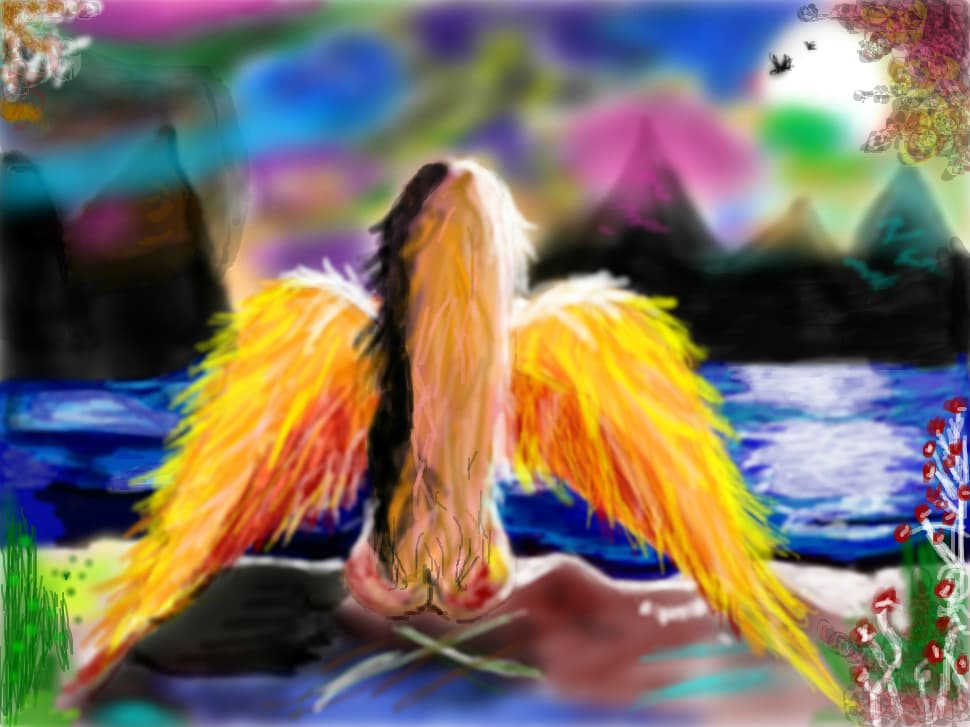 Angel Dream