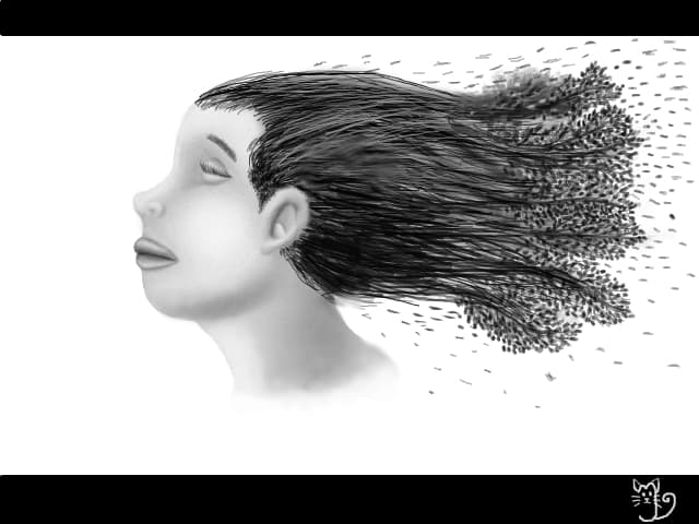 A forest on our head (imaginatie)