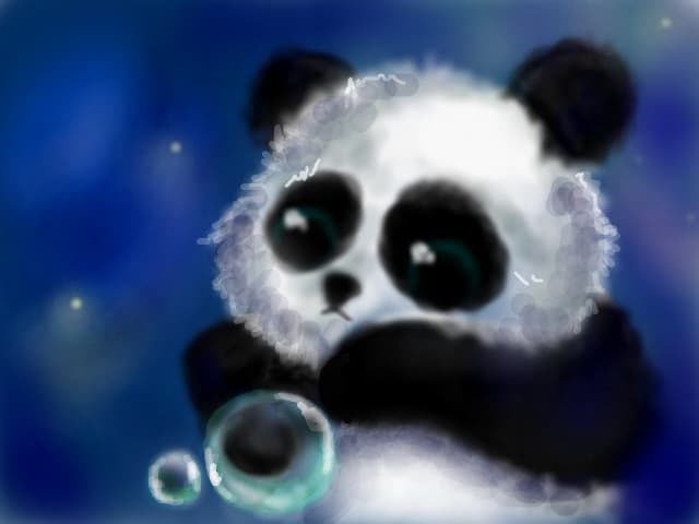 Panda bear