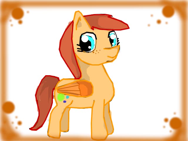 ponny