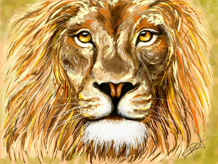 Lion