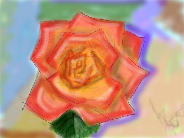 rose