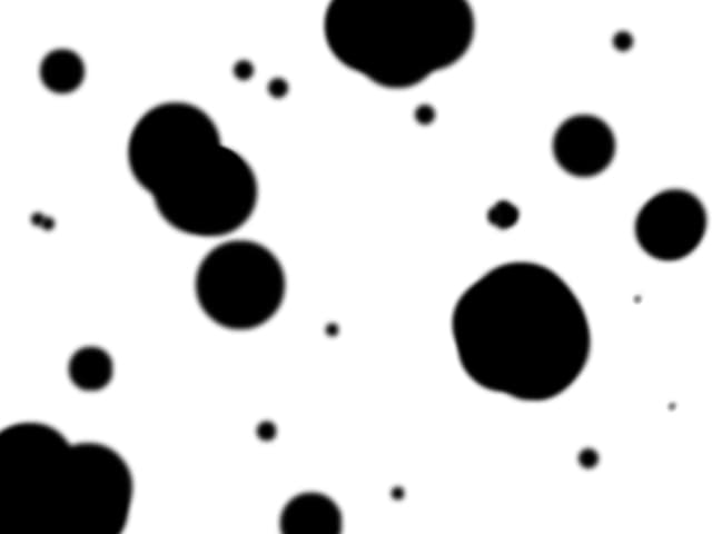 dalmatian