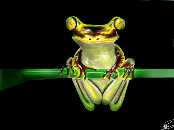 broscuta