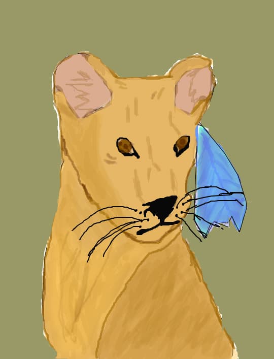 Felina