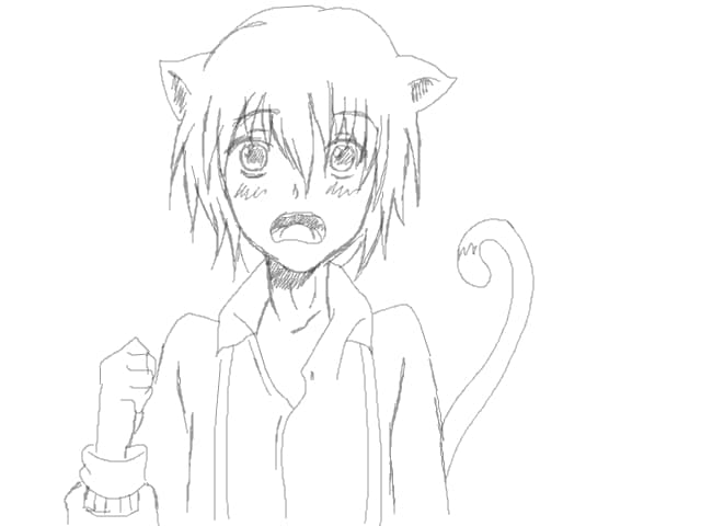 It\'s a wonderful cat life~