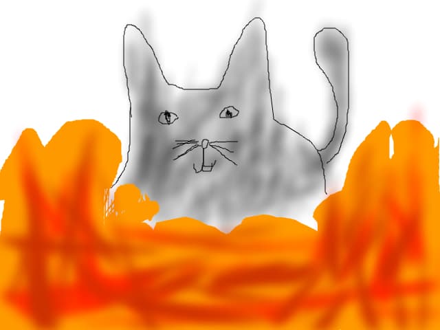 pisu