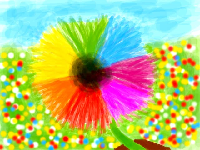 Papadie colorata