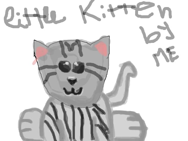 Kitten