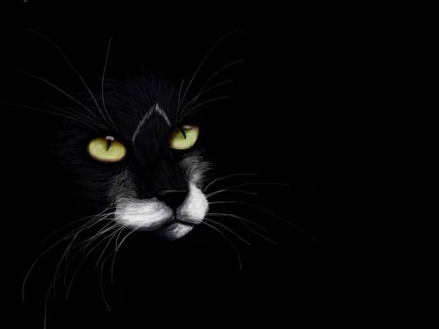 i see you...